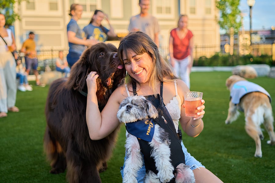 park-9-dog-bar-courtesy-photo-900px